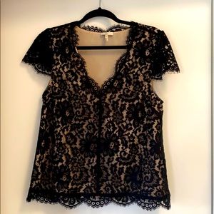 Joie Lace Top
